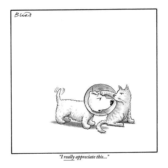 i really appreciate this new yorker cartoon premium giclee print
