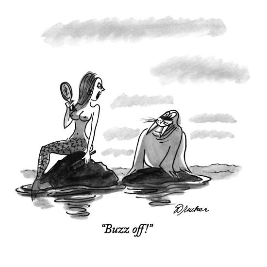 Buzz Off New Yorker Cartoon Premium Giclee Print Boris Drucker Allposters Com