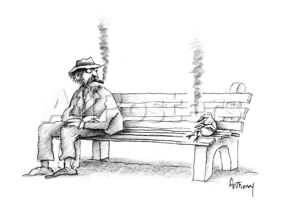 Hobo On Park Bench Sees Bird Smoking The Same Kind Of Cigar He Is New Yorker Cartoon Premium Giclee Print Anthony Taber Allposters Com