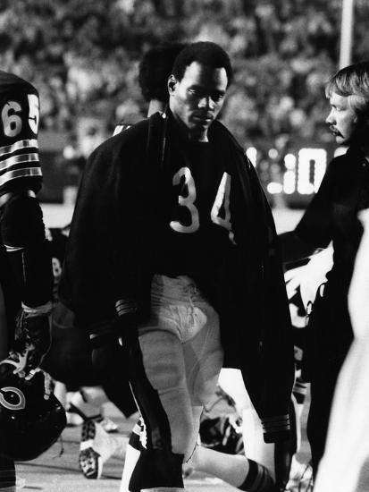 Payton corporation essay 08 picture