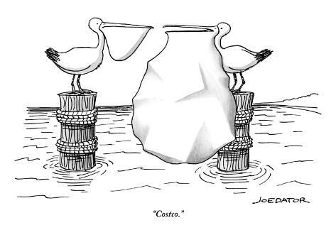 costco panoramic prints