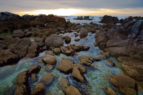 best tidal pool spots in monterey best tidal pool spots in monterey