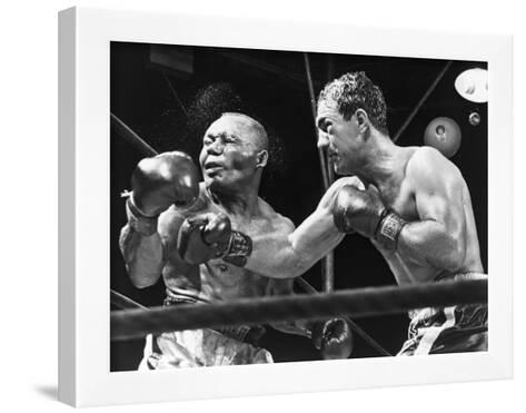 Rocky Marciano Suited Black Gloves Poster
