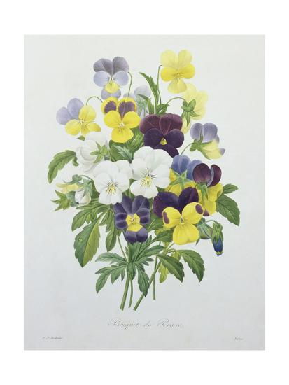 Bouquet Of Pansies Engraved By Victor From Choix Des Plus Belles Fleurs 1827