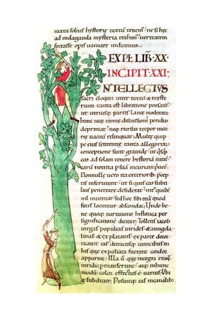 Ms 173 F 41 Historiated Initial I Depicting A Monk And A Lay Chopping And Pruning A Tree From Giclee Print Allposters Com