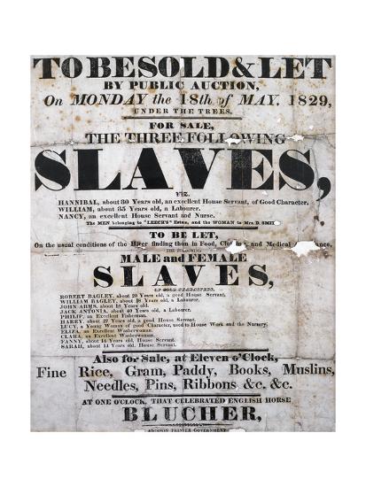 What happened to slaves at an auction picture
