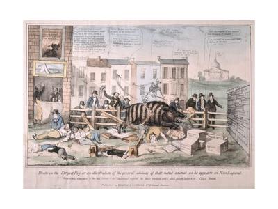 Death of a pig metaphor picture