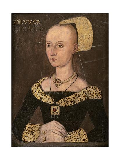 Queen elizabeth of york picture