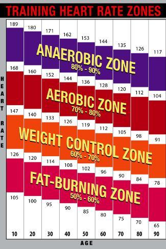 Heart Rate Numbers Chart