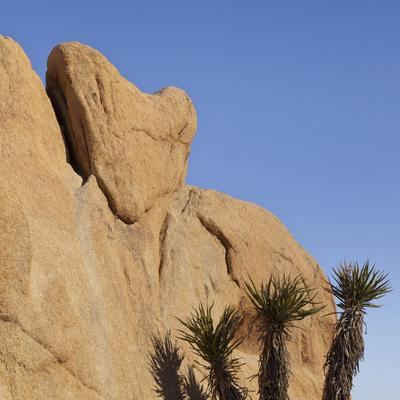'View of Heart-Shaped Rock, Joshua Tree National Park ...