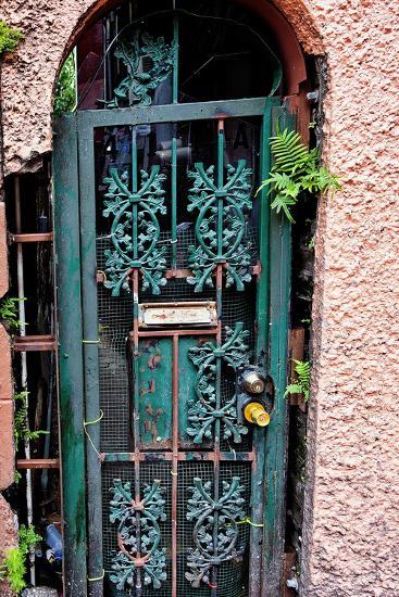 Old French Door New Orleans Louisiana Usa Photographic Print By Old French Door New Orleans Louisiana