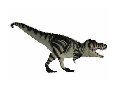 t rex is a carnivore