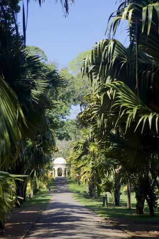 Peradeniya botanical garden short essay image