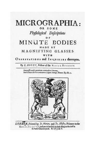 Robert hooke accomplishment image