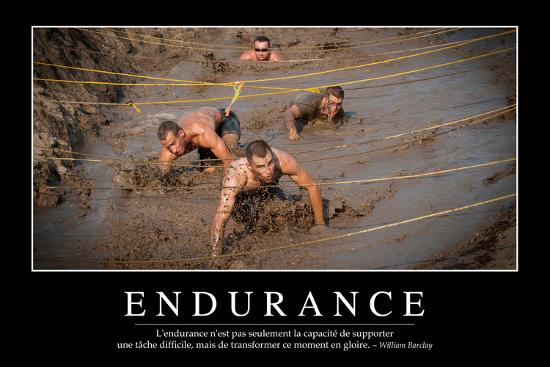 Endurance Citation Et Affiche D Inspiration Et Motivation Photographic Print Allposters Com