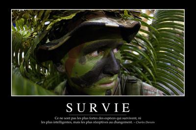 Survie Citation Et Affiche D Inspiration Et Motivation Photographic Print Allposters Com
