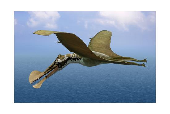 'Tropeognathus Mesembrinus, a Large Pterosaur from the Late Cretaceous Period' Poster