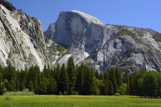 meadow below half dome
