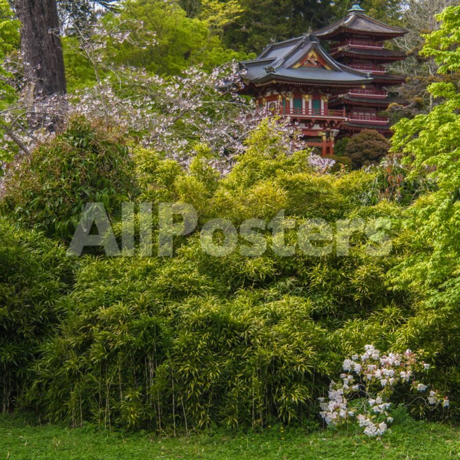 Pagoda In Japanese Tea Garden San Francisco California Usa