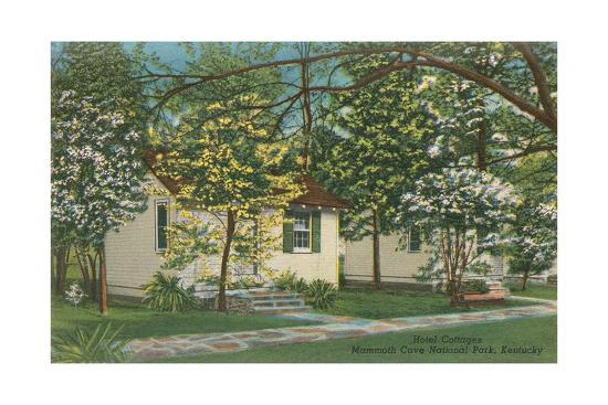 Mammoth Cave Hotel Cottages Prints At Allposters Com