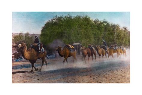 Painting Of A Caravan Of Camels Walks Single File And Carrying Packs