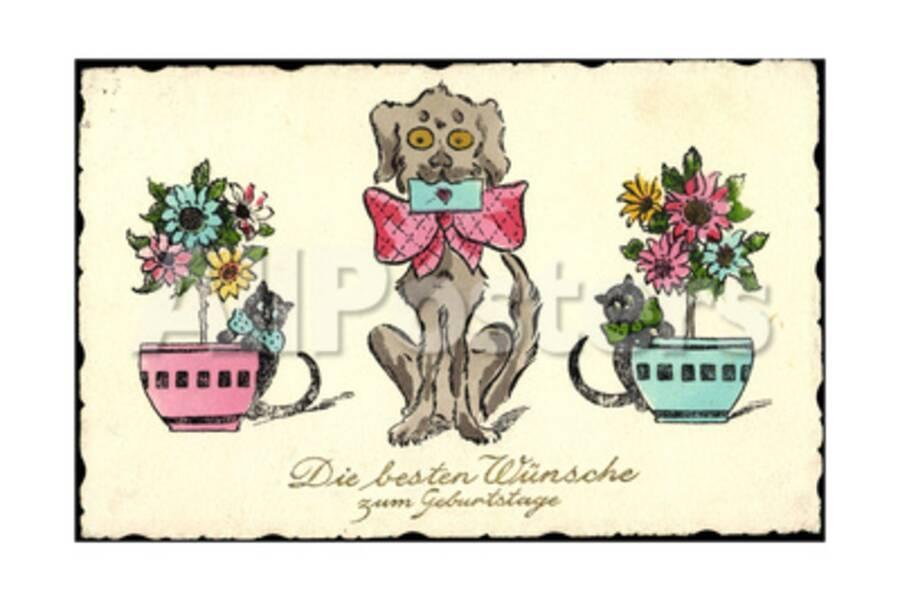 Personalisiere Unsere Auswahl An Videovorlagen Fur Geburtstage Von