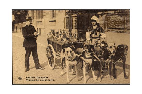 Niederlandische Frau In Tracht Hunde Ziehen Wagen Giclee Print At