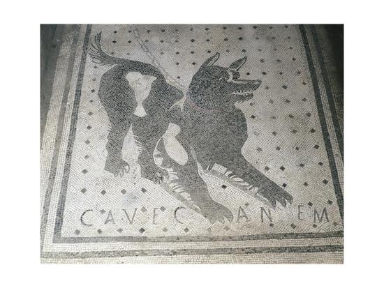 Detail Of Floor Mosaic Depicting Dog And Words Cave Canem