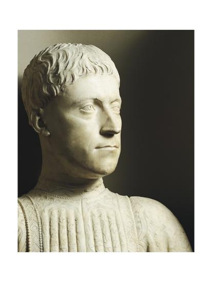Piero di Cosimo de Medici Essays