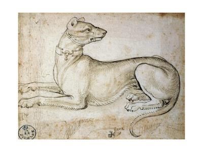 Imaginary animals ideas image