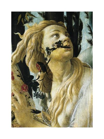 Sandro botticelli renaissance art image