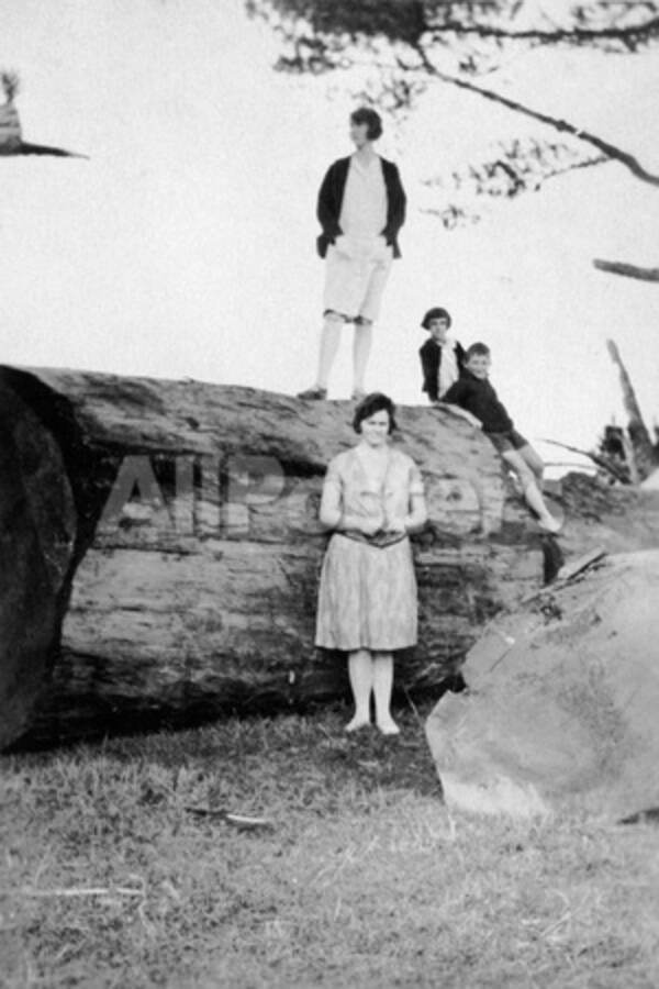 Doris Jessie Jessie Yvonne And Ian Bryce Mckenzie Waipu Late