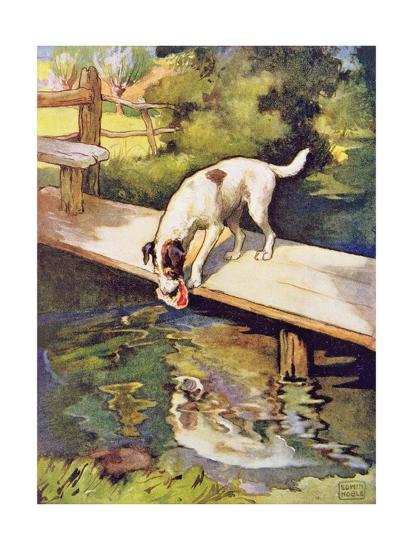 The Dog and the Shadow from 'Aesop's Fables', London Giclee Print by