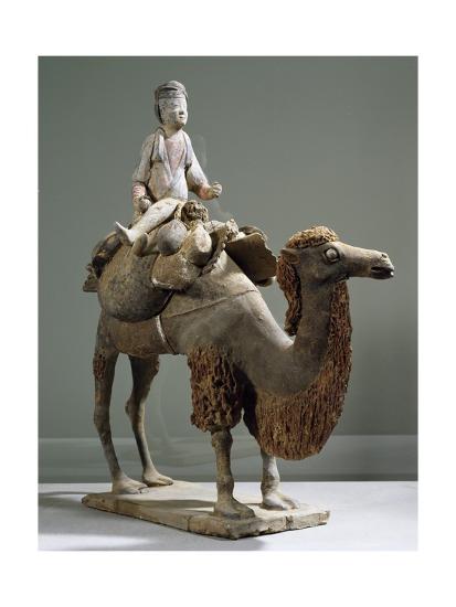 Camel rider essay 08 picture