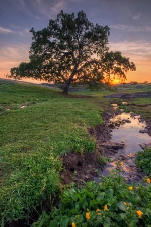 Sunset Steam At Table Mountain Oroville California Photographic Print Vincent James Allposters Com