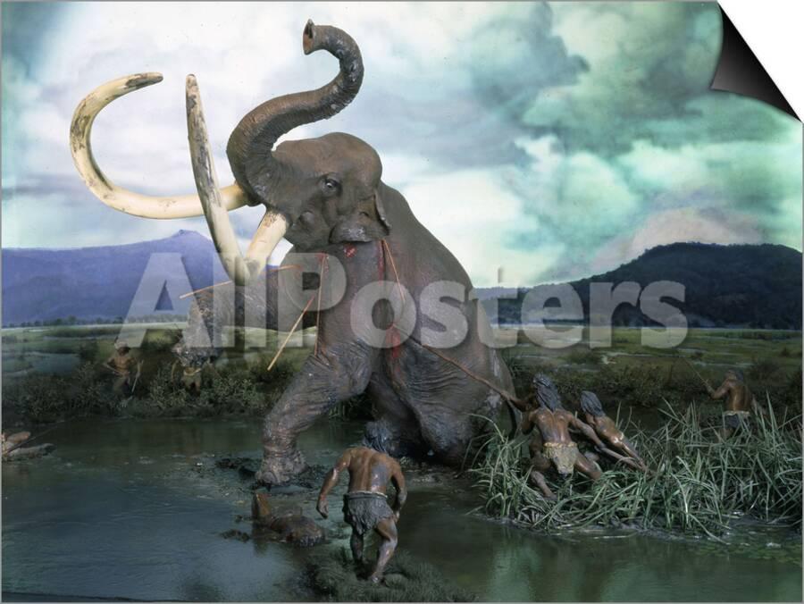 Mammoth Hunt Lower Paleolithic Era Reconstruction Posters Allposters Com