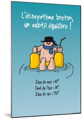Oc H Oc H Ecosysteme Breton Posters Sylvain Bichicchi Allposters Com