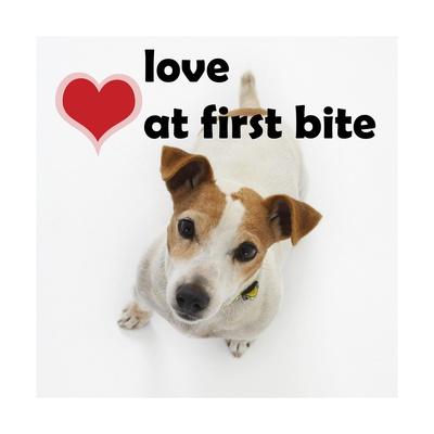 love bite is safe or not