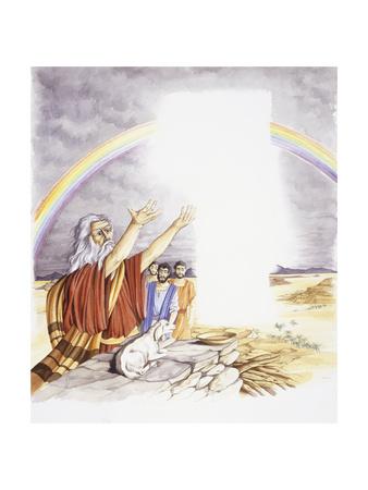 Everybody's lamb image