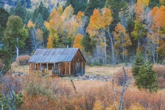 Old Cabin In Autumn Woods Hope Valley California Photographic