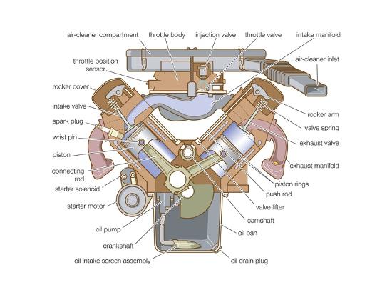 Cross Section of a V-Type Engine Prints at AllPosters.com
