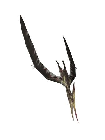 flying pteranodon