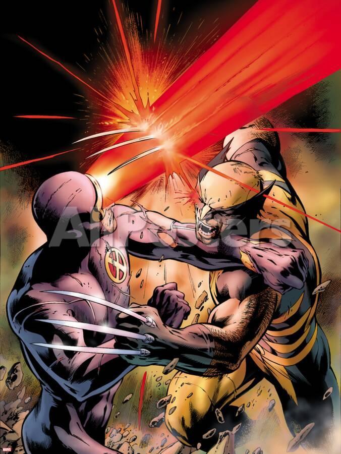 X Men Schism No 4 Cover Cyclops Fighting Wolverine With An Optic Blast Wall Decal Alan Davis Allposters Com