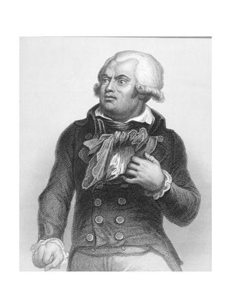 Georges Danton Essays