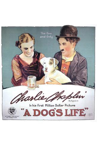 A dog/'s life Charlie Chaplin cult movie poster print
