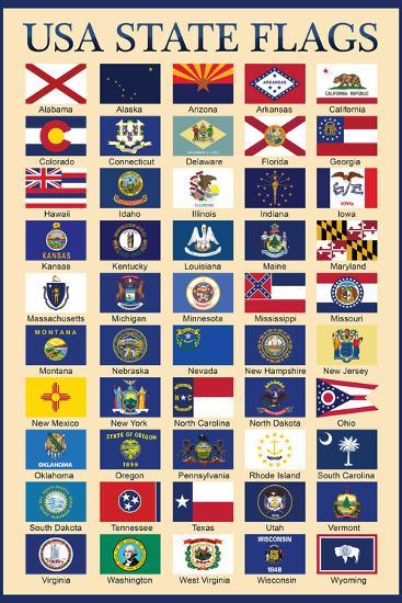 Usa 50 State Flags Chart Posters Allposters Com