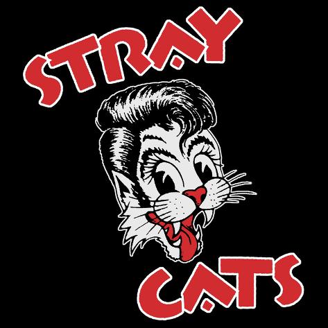 download free stray cats