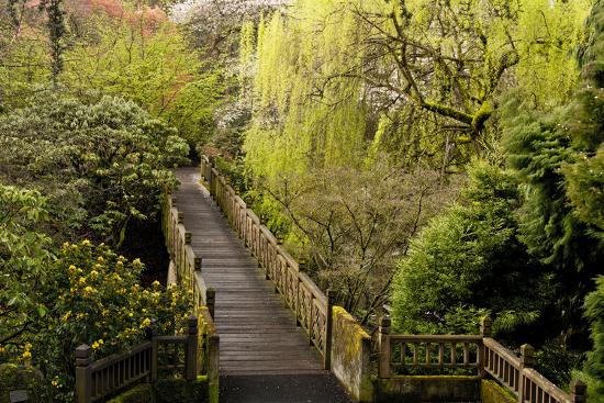 Bridge Crystal Springs Rhododendron Garden Portland Oregon Usa