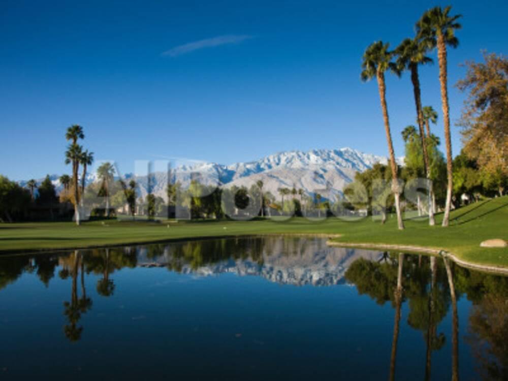 Pond in a Golf Course, Desert Princess Country Club, Palm Springs