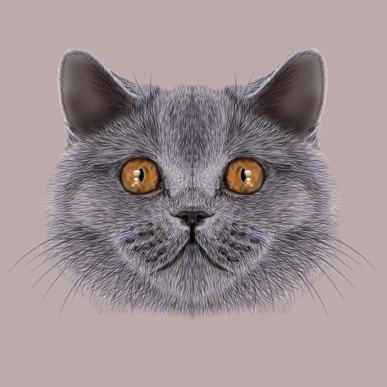 Illustration Of Portrait British Short Hair Cat Cute Silver
